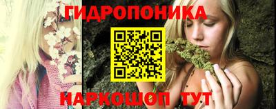 прущие крисы Шебекино